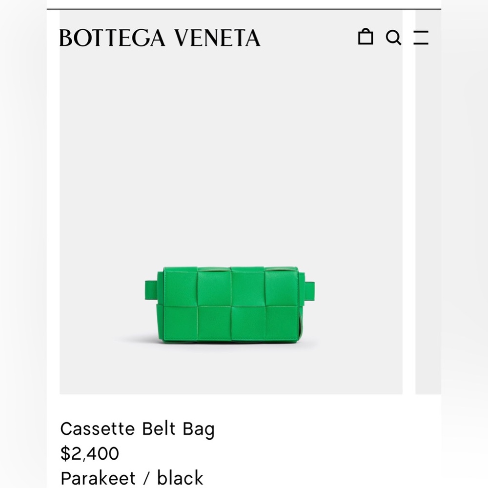 Bottega crossbody bag comes with box and dust bag “dark green”